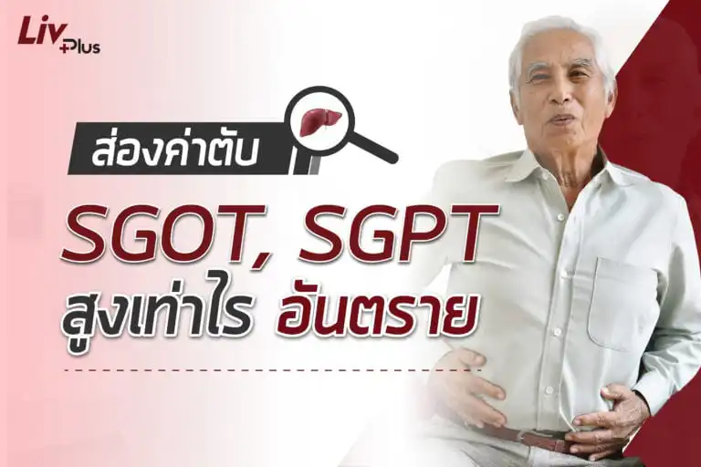 ค่าตับ SGOT, SGPT สูง อันตรายต่อสุขภาพ