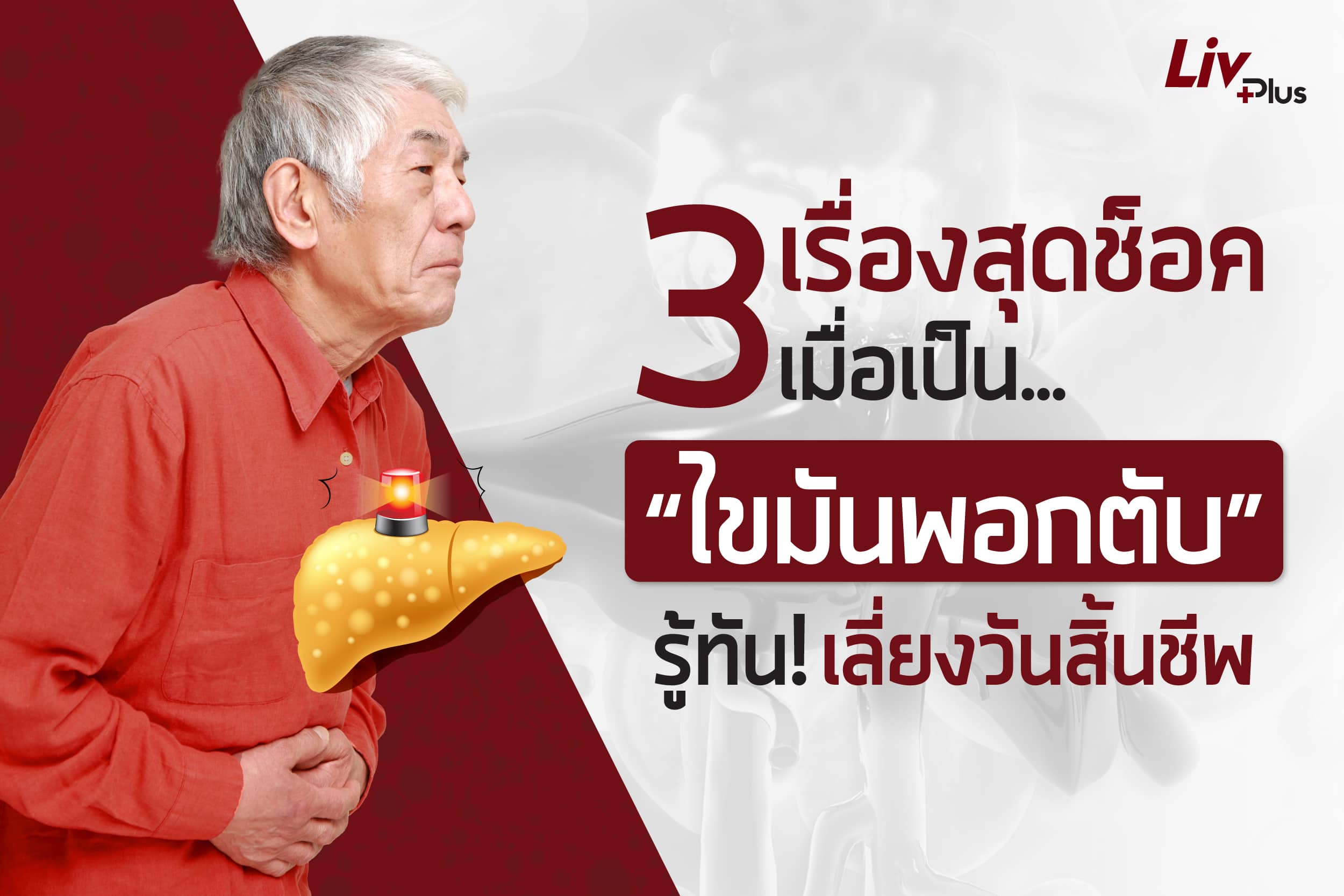 Read more about the article 3 เรื่องสุดช็อค เมื่อเป็น “ไขมันพอกตับ” รู้ทัน เลี่ยงวันสิ้นชีพ