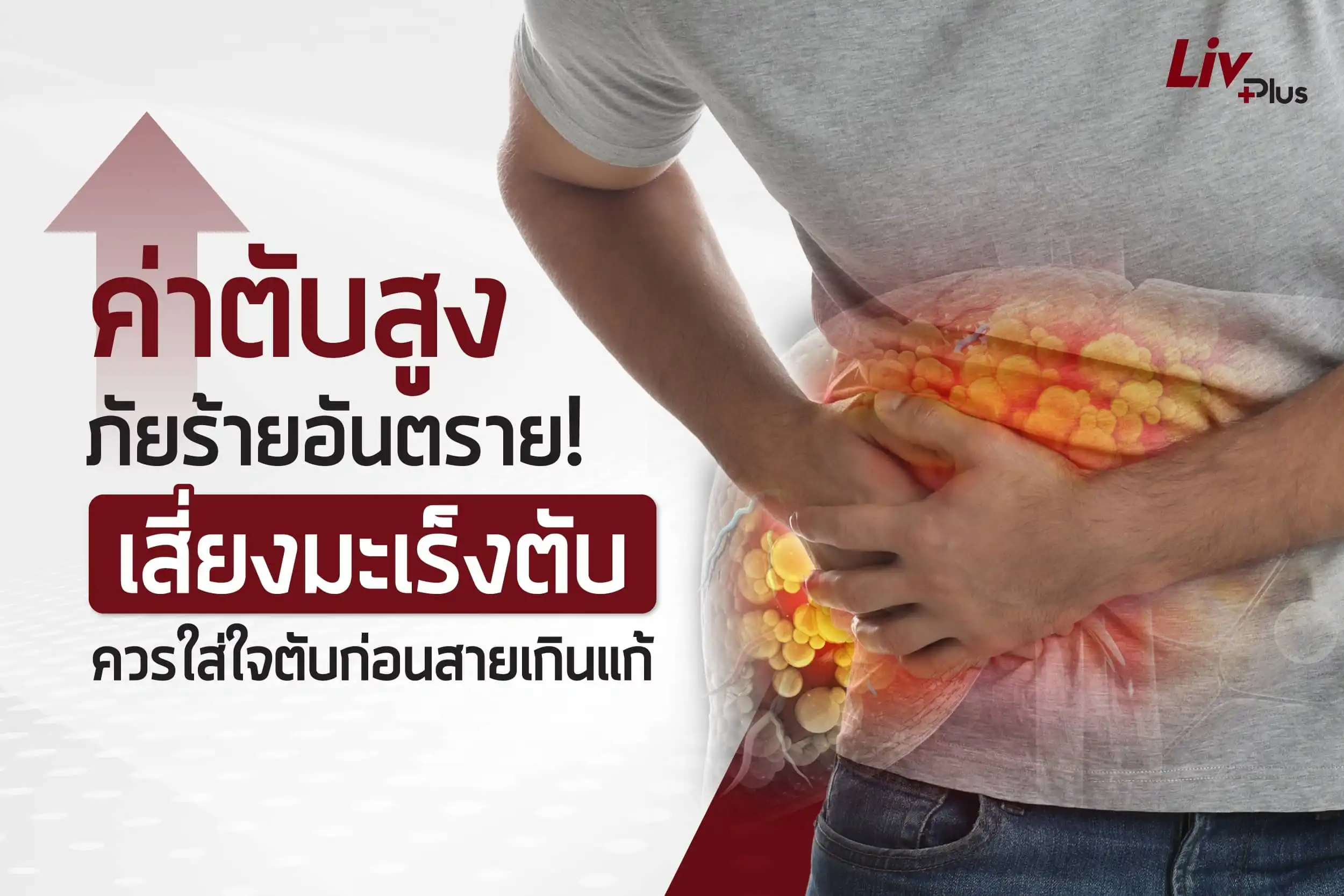 ค่า SGOT สูง อันตรายไหม ? ป้องกันและดูแลสุขภาพตับให้ถูกวิธี