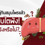 ทฤษฎีกินสมุนไพรแล้วตับไตพัง จริงหรือไม่? เปิดเหตุผลว่าทำไมคุณหมอถึงเตือน!