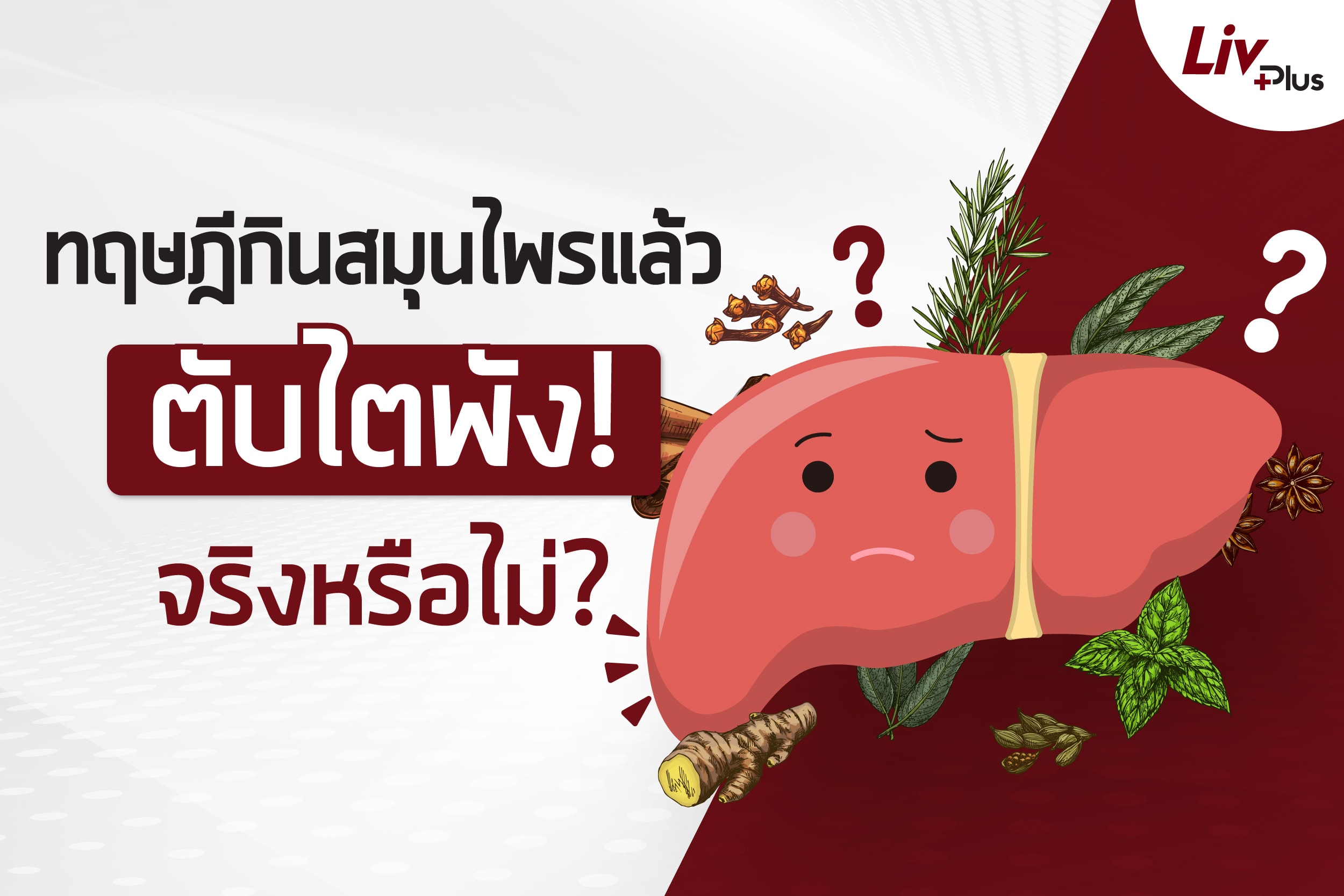 Read more about the article ทฤษฎีกินสมุนไพรแล้วตับไตพัง จริงหรือไม่? เปิดเหตุผลว่าทำไมคุณหมอถึงเตือน!