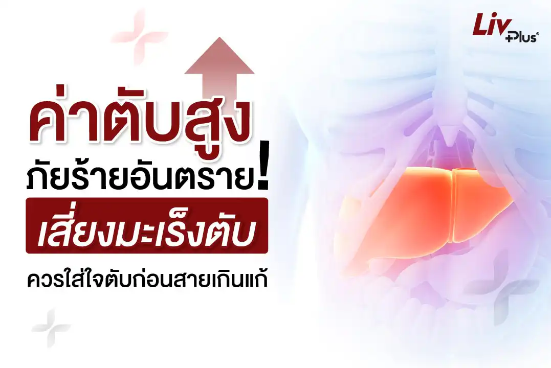 ค่าตับสูง ภัยร้ายอันตราย! เสี่ยงมะเร็งตับ ควรใส่ใจตับก่อนสายเกินแก้