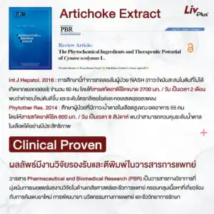 งานวิจัย-สารสกัด-ลิฟพลัส (3)