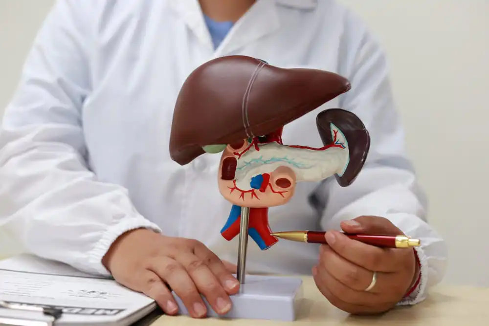 แพทย์กำลังอธิบายว่าอาการท้องมานเกี่ยวกับโรคตับอย่างไร