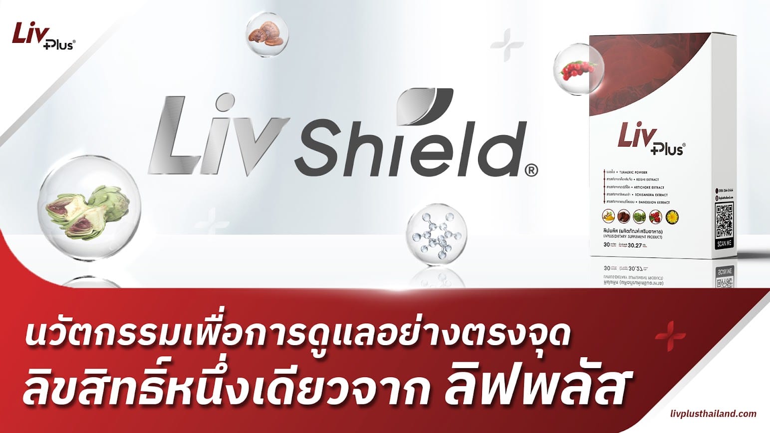 You are currently viewing LivShield® : นวัตกรรมดูแลตับ 360° | ฟื้นฟูเซลล์ตับด้วยเอกสิทธิ์เฉพาะจาก Livplus®