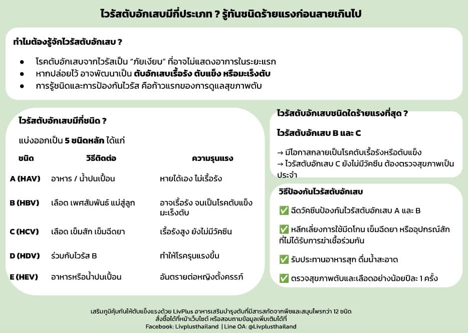 อินโฟกราฟิกไวรัสตับอักเสบมีกี่ประเภท ประเภทไหนร้ายแรงที่สุด