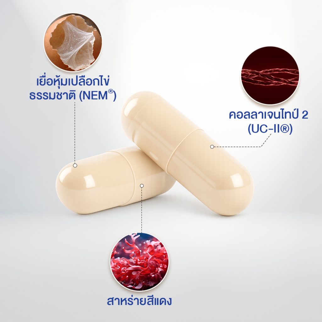 ลิฟ จอยเอ็กซ์ (Liv JoinX)