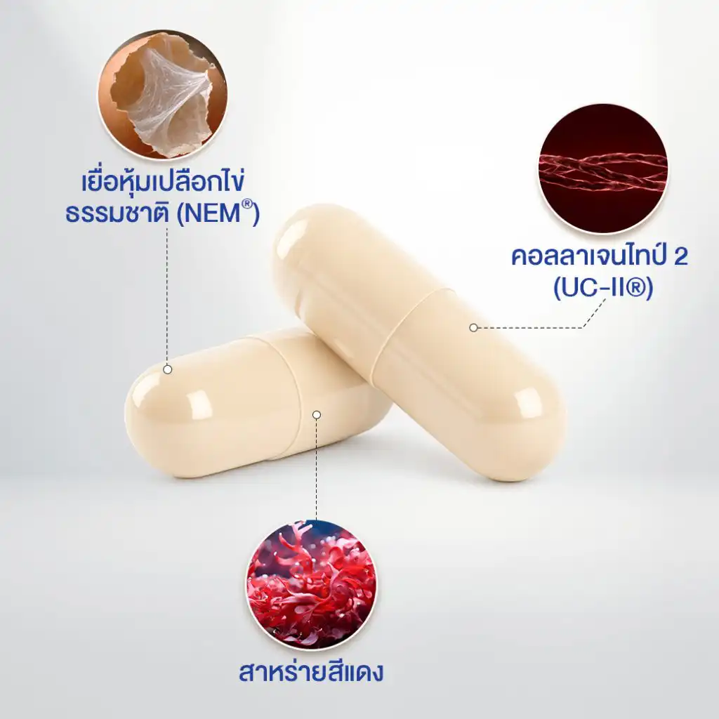 ลิฟ จอยเอ็กซ์ (Liv JoinX)