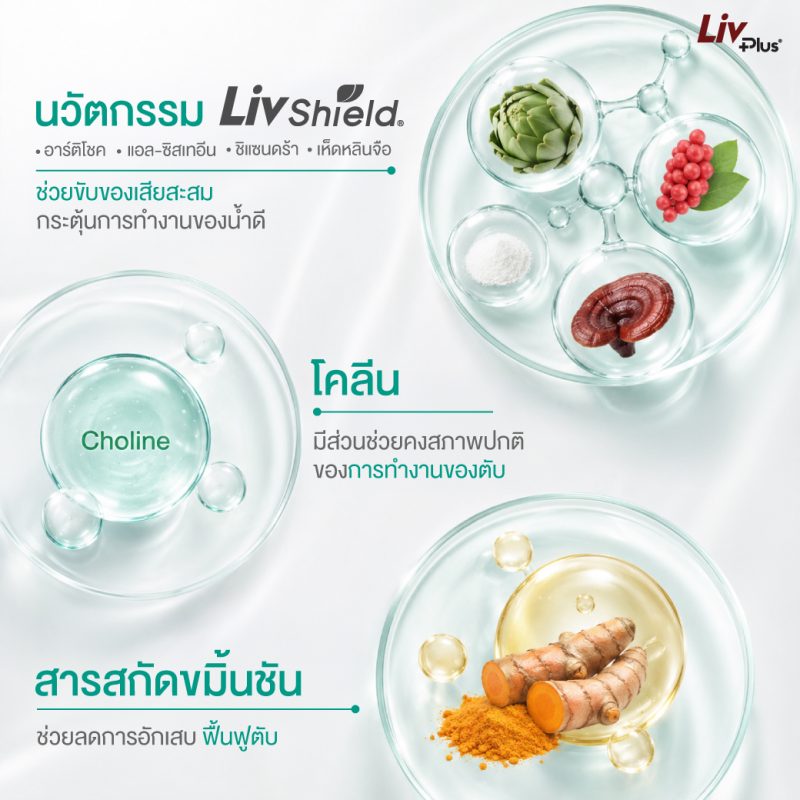 ลิฟพลัส เดลี่ (Livplus Daily)